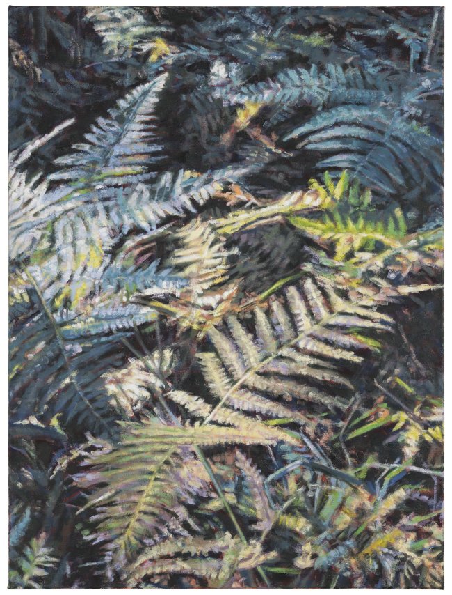 Hjördis Baacke: Ribnitzer Moor -  Boden 1, 2026, Öl auf Leinwand, 80 x 60 cm, 2400 Euro