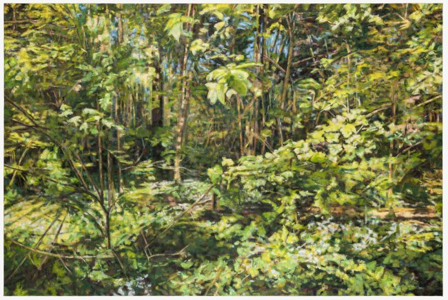 Hjördis Baacke: Auwald Leipzig, 2026, Öl auf Leinwand, 140 x 210 cm, 6000 Euro