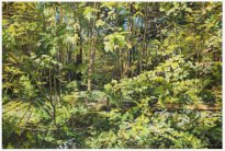 Hjördis Baacke: Auwald Leipzig, 2026, Öl auf Leinwand, 140 x 210 cm, 6000 Euro