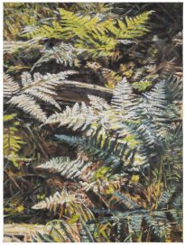 Hjördis Baacke: Ribnitzer Moor -  Boden 3, 2026, Öl auf Leinwand, 80 x 60 cm, 2400 Euro