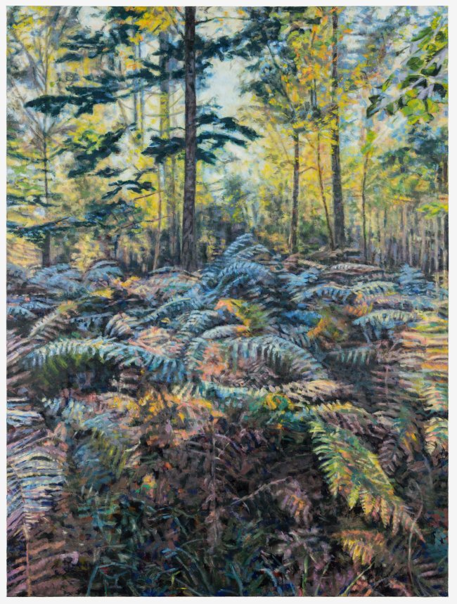 Hjördis Baacke: Darer Wald, 2026, Öl auf Leinwand, 200 x 150 cm, 6000 Euro