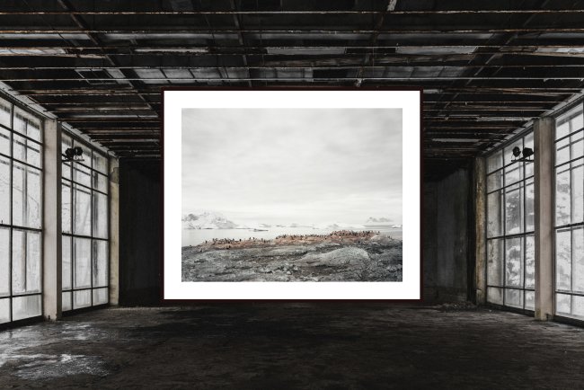 Hans-Christian Schink: Antarctica 4, 2010, c-print/diasec, framed, edition 5 + 3, 178 x 211 cm