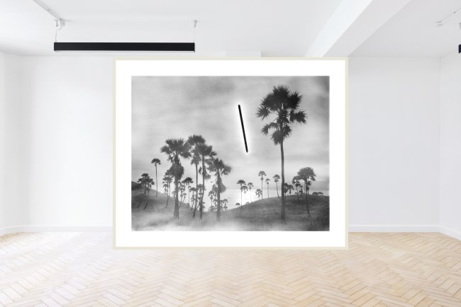 Hans-Christian Schink: Flores, 2010, gelatin silver print, framed, total ed. 8 + 2 ap, 180 x 225 cm