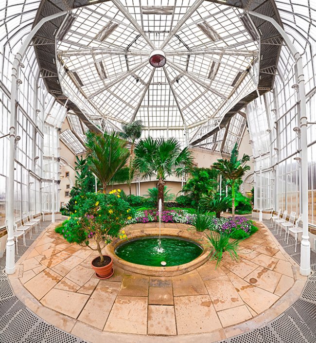 Raissa Venables: Pillnitz Palm House