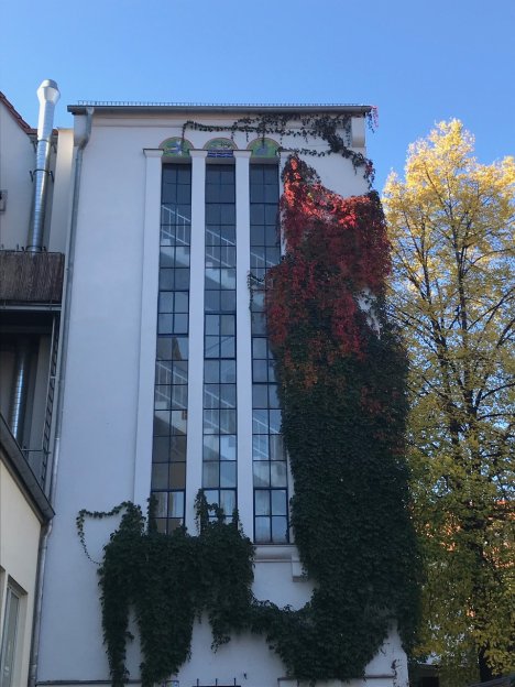 Rückblick 2019 und Vorfreude auf 2020