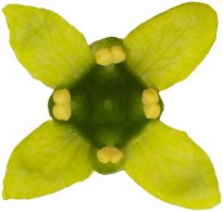 Hans-Christian Schink: #81 Pfaffenhüttchen, Pigmentprint auf Hahnemühle Bütten, gerahmt mit Museumsglas, Ed. 5 + 2 AP Format 75 x 65 cm, 5000 Euro