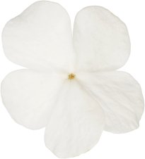 Hans-Christian Schink: #92 Schneeball, Pigmentprint auf Hahnemühle Bütten, gerahmt mit Museumsglas, Ed. 5 + 2 AP Format 75 x 65 cm, 5000 Euro