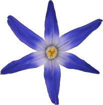 Hans-Christian Schink: #93 Schneeglanz, Pigmentprint auf Hahnemühle Bütten, gerahmt mit Museumsglas, Ed. 5 + 2 AP Format 75 x 65 cm, 5000 Euro