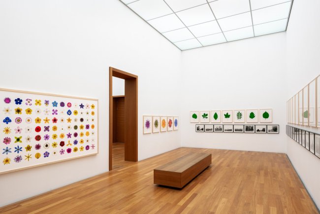 Hans-Christian Schink: Ausstellungsansicht Erfurt 2019