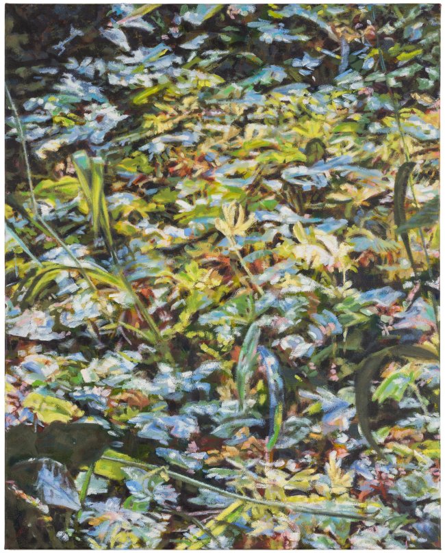 Hjördis Baacke: Auwald Leipzig, 2025, Öl auf Leinwand, 75 x 60 cm, 2200 Euro