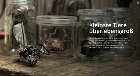 MDR Kultur, Nächste Generation, Dana Meyer