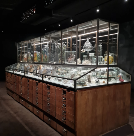 Dana Meyer im Drentsmuseum Assen