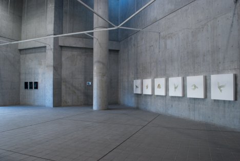 Michiko Nakatani Soloshow
