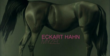 Eckart Hahn at the Kunstverein Schwäbisch Hall