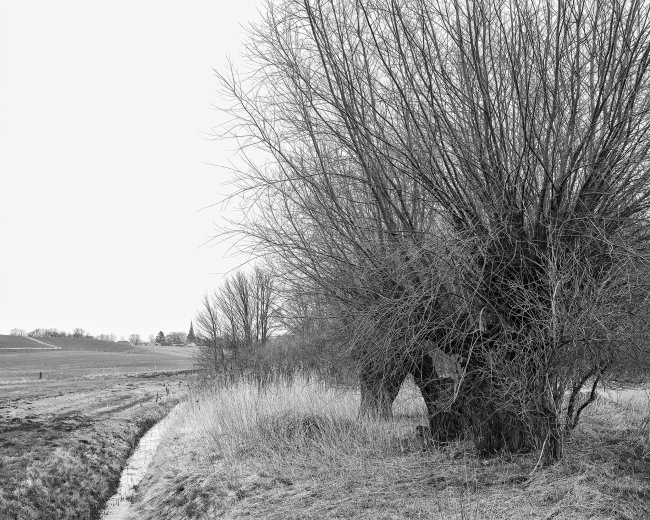 Hans-Christian Schink: Am Weg #10, 2022-24, Barytprint auf Aludibond, gerahmt mit Museumsglas, Ed. 5 + 2 AP Format 40 x 48 cm -  2900 Euro; Format 90 x 105 cm, 9000 Euro