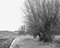 Hans-Christian Schink: Am Weg #10, 2022-24, Barytprint auf Aludibond, gerahmt mit Museumsglas, Ed. 5 + 2 AP Format 40 x 48 cm -  2900 Euro; Format 90 x 105 cm, 9000 Euro