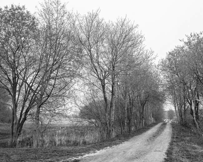 Hans-Christian Schink: Am Weg #11, 2022-24, Barytprint auf Aludibond, gerahmt mit Museumsglas, Ed. 5 + 2 AP Format 40 x 48 cm -  2900 Euro; Format 90 x 105 cm, 9000 Euro