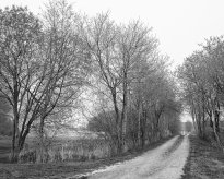 Hans-Christian Schink: Am Weg #11, 2022-24, Barytprint auf Aludibond, gerahmt mit Museumsglas, Ed. 5 + 2 AP Format 40 x 48 cm -  2900 Euro; Format 90 x 105 cm, 9000 Euro