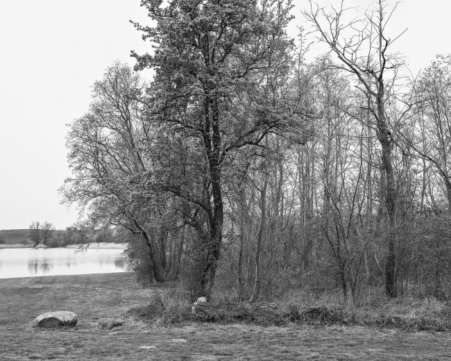 Hans-Christian Schink: Am Weg #12, 2022-24, Barytprint auf Aludibond, gerahmt mit Museumsglas, Ed. 5 + 2 AP Format 40 x 48 cm -  2900 Euro; Format 90 x 105 cm, 9000 Euro