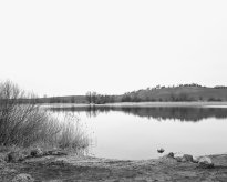 Hans-Christian Schink: Am Weg #13, 2022-24, Barytprint auf Aludibond, gerahmt mit Museumsglas, Ed. 5 + 2 AP Format 40 x 48 cm -  2900 Euro; Format 90 x 105 cm, 9000 Euro