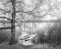 Hans-Christian Schink: Am Weg #14, 2022-24, Barytprint auf Aludibond, gerahmt mit Museumsglas, Ed. 5 + 2 AP Format 40 x 48 cm -  2900 Euro; Format 90 x 105 cm, 9000 Euro