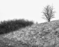 Hans-Christian Schink: Am Weg #15, 2022-24, Barytprint auf Aludibond, gerahmt mit Museumsglas, Ed. 5 + 2 AP Format 40 x 48 cm -  2900 Euro; Format 90 x 105 cm, 9000 Euro