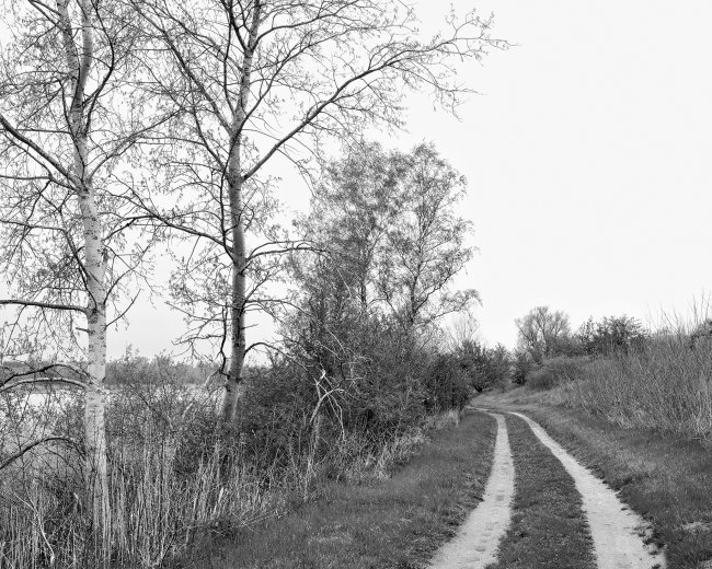 Hans-Christian Schink: Am Weg #16, 2022-24, Barytprint auf Aludibond, gerahmt mit Museumsglas, Ed. 5 + 2 AP Format 40 x 48 cm -  2900 Euro; Format 90 x 105 cm, 9000 Euro