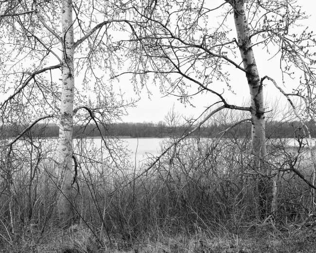 Hans-Christian Schink: Am Weg #17, 2022-24, Barytprint auf Aludibond, gerahmt mit Museumsglas, Ed. 5 + 2 AP Format 40 x 48 cm -  2900 Euro; Format 90 x 105 cm, 9000 Euro