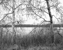 Hans-Christian Schink: Am Weg #17, 2022-24, Barytprint auf Aludibond, gerahmt mit Museumsglas, Ed. 5 + 2 AP Format 40 x 48 cm -  2900 Euro; Format 90 x 105 cm, 9000 Euro