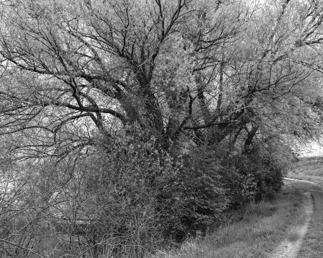 Hans-Christian Schink: Am Weg #18, 2022-24, Barytprint auf Aludibond, gerahmt mit Museumsglas, Ed. 5 + 2 AP Format 40 x 48 cm -  2900 Euro; Format 90 x 105 cm, 9000 Euro