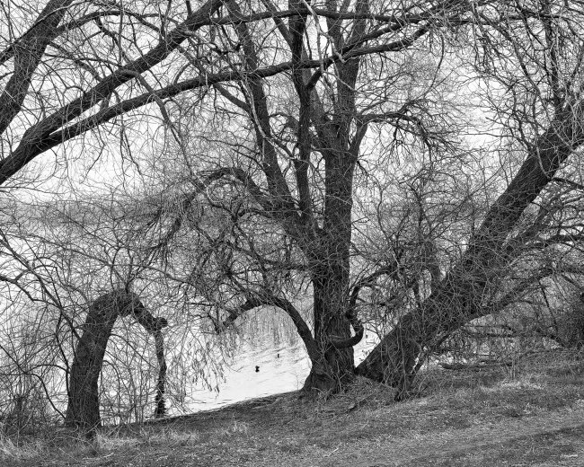 Hans-Christian Schink: Am Weg #19, 2022-24, Barytprint auf Aludibond, gerahmt mit Museumsglas, Ed. 5 + 2 AP Format 40 x 48 cm -  2900 Euro; Format 90 x 105 cm, 9000 Euro