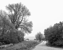 Hans-Christian Schink: Am Weg #1, 2022-24, Barytprint auf Aludibond, gerahmt mit Museumsglas, Ed. 5 + 2 AP Format 40 x 48 cm -  2900 Euro; Format 90 x 105 cm, 9000 Euro