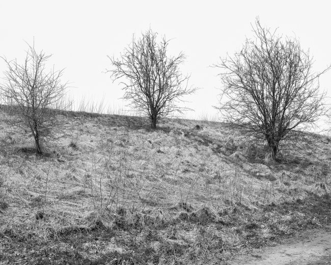 Hans-Christian Schink: Am Weg #20, 2022-24, Barytprint auf Aludibond, gerahmt mit Museumsglas, Ed. 5 + 2 AP Format 40 x 48 cm -  2900 Euro; Format 90 x 105 cm, 9000 Euro