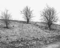 Hans-Christian Schink: Am Weg #20, 2022-24, Barytprint auf Aludibond, gerahmt mit Museumsglas, Ed. 5 + 2 AP Format 40 x 48 cm -  2900 Euro; Format 90 x 105 cm, 9000 Euro