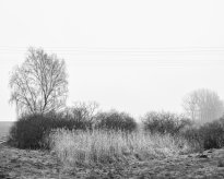 Hans-Christian Schink: Am Weg #23, 2022-24, Barytprint auf Aludibond, gerahmt mit Museumsglas, Ed. 5 + 2 AP Format 40 x 48 cm -  2900 Euro; Format 90 x 105 cm, 9000 Euro