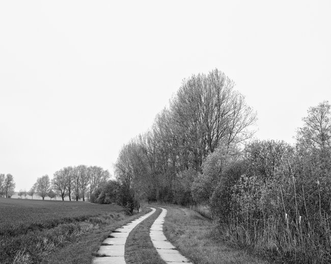 Hans-Christian Schink: Am Weg #24, 2022-24, Barytprint auf Aludibond, gerahmt mit Museumsglas, Ed. 5 + 2 AP Format 40 x 48 cm -  2900 Euro; Format 90 x 105 cm, 9000 Euro