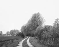 Hans-Christian Schink: Am Weg #24, 2022-24, Barytprint auf Aludibond, gerahmt mit Museumsglas, Ed. 5 + 2 AP Format 40 x 48 cm -  2900 Euro; Format 90 x 105 cm, 9000 Euro