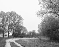 Hans-Christian Schink: Am Weg #25, 2022-24, Barytprint auf Aludibond, gerahmt mit Museumsglas, Ed. 5 + 2 AP Format 40 x 48 cm -  2900 Euro; Format 90 x 105 cm, 9000 Euro