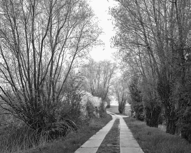 Hans-Christian Schink: Am Weg #26, 2022-24, Barytprint auf Aludibond, gerahmt mit Museumsglas, Ed. 5 + 2 AP Format 40 x 48 cm -  2900 Euro; Format 90 x 105 cm, 9000 Euro