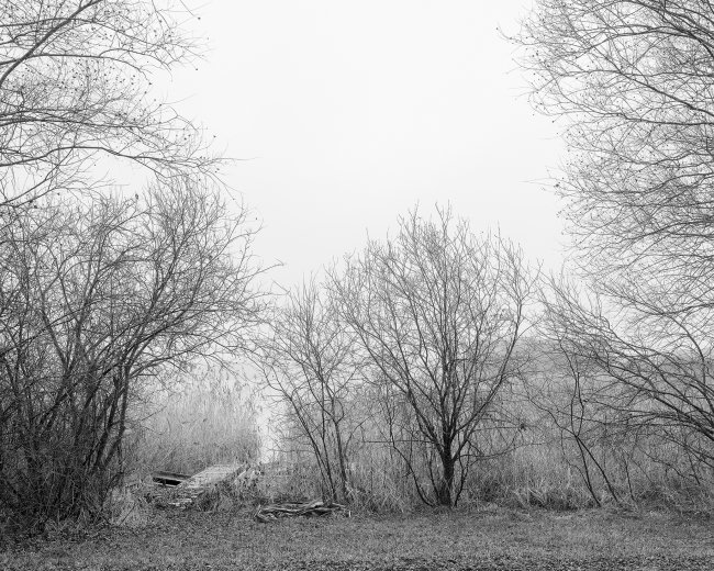 Hans-Christian Schink: Am Weg #28, 2022-24, Barytprint auf Aludibond, gerahmt mit Museumsglas, Ed. 5 + 2 AP Format 40 x 48 cm -  2900 Euro; Format 90 x 105 cm, 9000 Euro