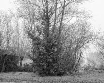 Hans-Christian Schink: Am Weg #29, 2022-24, Barytprint auf Aludibond, gerahmt mit Museumsglas, Ed. 5 + 2 AP Format 40 x 48 cm -  2900 Euro; Format 90 x 105 cm, 9000 Euro