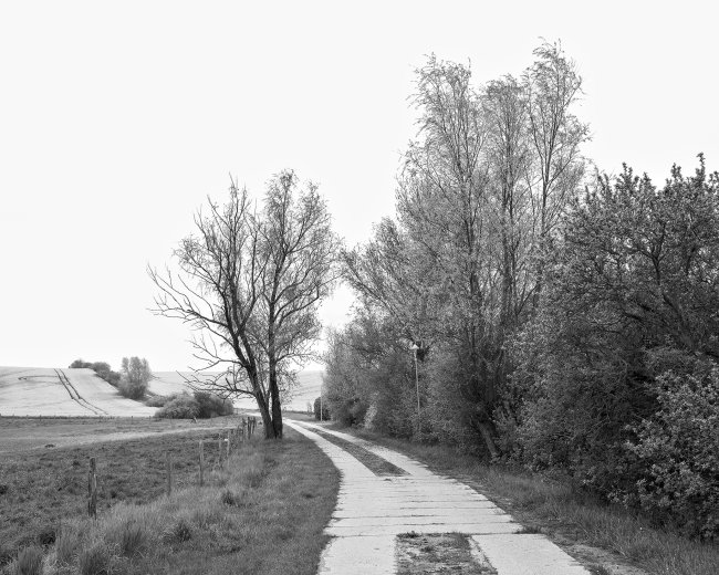 Hans-Christian Schink: Am Weg #2, 2022-24, Barytprint auf Aludibond, gerahmt mit Museumsglas, Ed. 5 + 2 AP Format 40 x 48 cm -  2900 Euro; Format 90 x 105 cm, 9000 Euro