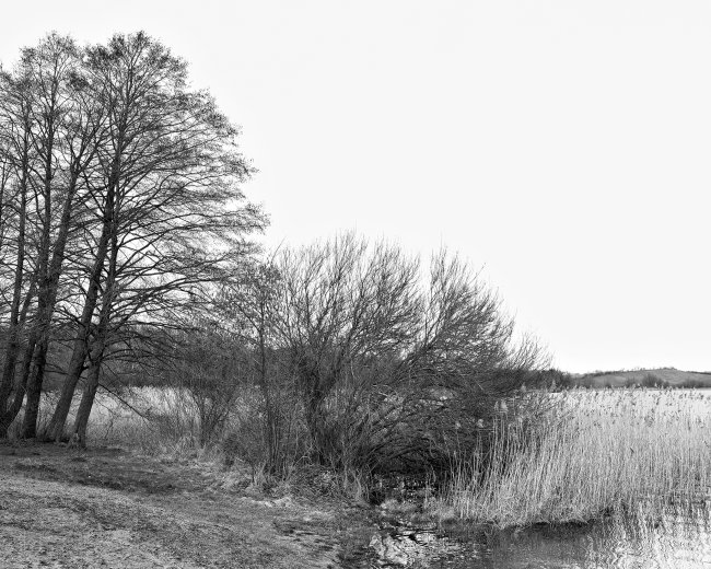 Hans-Christian Schink: Am Weg #32, 2022-24, Barytprint auf Aludibond, gerahmt mit Museumsglas, Ed. 5 + 2 AP Format 40 x 48 cm -  2900 Euro; Format 90 x 105 cm, 9000 Euro