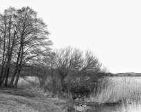 Hans-Christian Schink: Am Weg #32, 2022-24, Barytprint auf Aludibond, gerahmt mit Museumsglas, Ed. 5 + 2 AP Format 40 x 48 cm -  2900 Euro; Format 90 x 105 cm, 9000 Euro