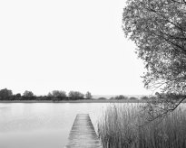 Hans-Christian Schink: Am Weg #33, 2022-24, Barytprint auf Aludibond, gerahmt mit Museumsglas, Ed. 5 + 2 AP Format 40 x 48 cm -  2900 Euro; Format 90 x 105 cm, 9000 Euro