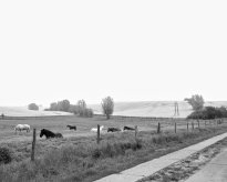 Hans-Christian Schink: Am Weg #4, 2022-24, Barytprint auf Aludibond, gerahmt mit Museumsglas, Ed. 5 + 2 AP Format 40 x 48 cm -  2900 Euro; Format 90 x 105 cm, 9000 Euro