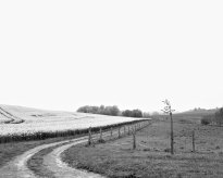 Hans-Christian Schink: Am Weg #7, 2022-24, Barytprint auf Aludibond, gerahmt mit Museumsglas, Ed. 5 + 2 AP Format 40 x 48 cm -  2900 Euro; Format 90 x 105 cm, 9000 Euro