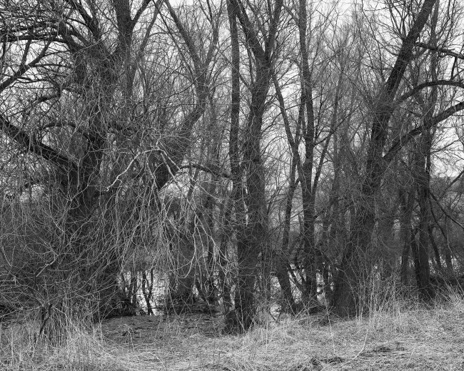 Hans-Christian Schink: Am Weg #8, 2022-24, Barytprint auf Aludibond, gerahmt mit Museumsglas, Ed. 5 + 2 AP Format 40 x 48 cm -  2900 Euro; Format 90 x 105 cm, 9000 Euro