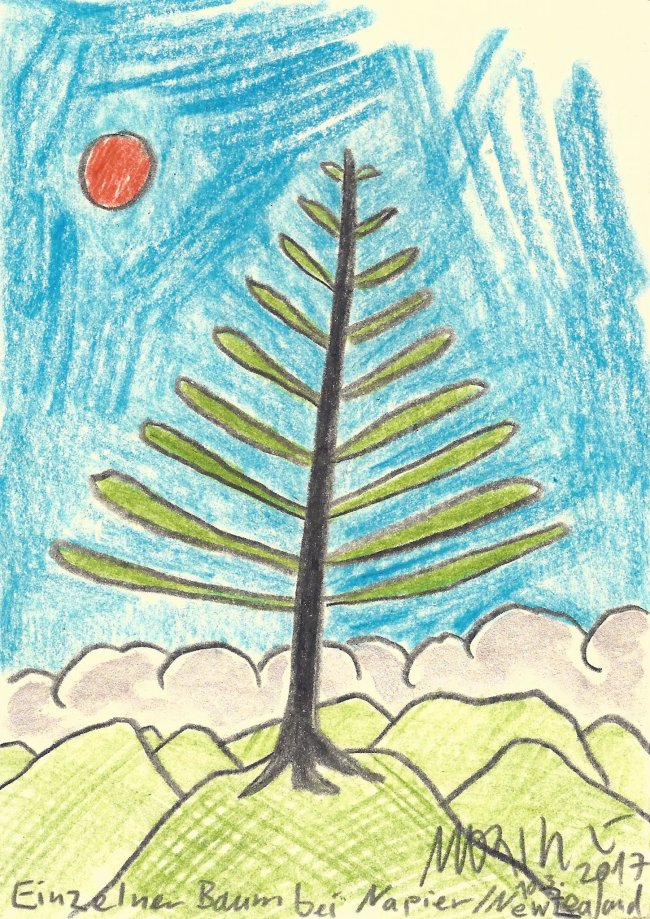 Moritz Götze: Einzelner Baum bei Napier