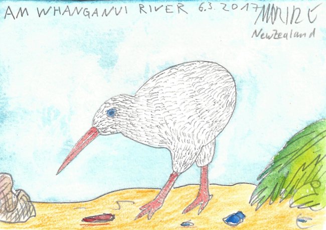 Moritz Götze: Am Whanganui River